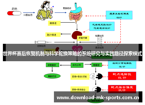 世界杯赛后恢复机制与科学轮换策略的系统研究与实践路径探索模式